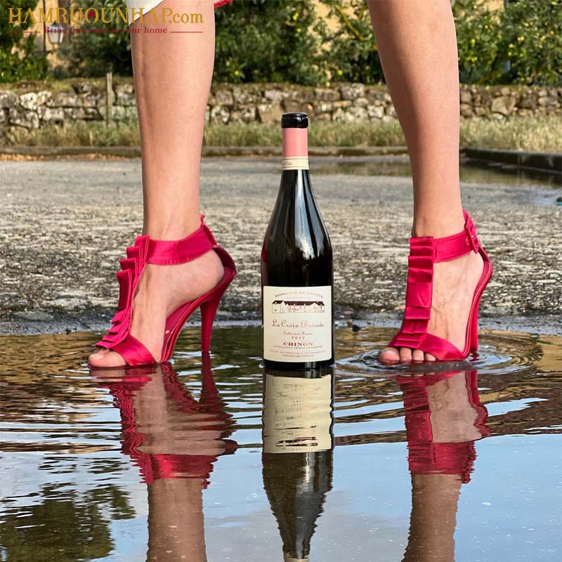 Rượu Vang Pháp Domaine De Pallus La Croix Boissée