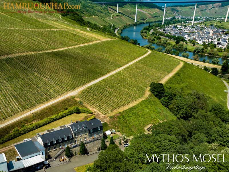 Khu vực trồng nho Mosel đẹp như tranh vẽ