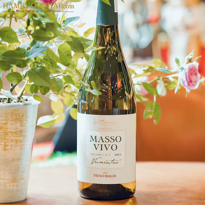 Masso Vivo Ammiraglia