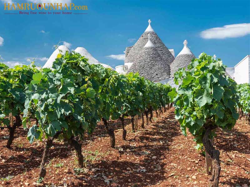 Vùng Puglia